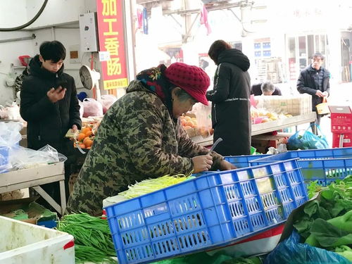 五福街美食記 先借五個胃，嘗盡新鮮蔬菜零售的獨特風味