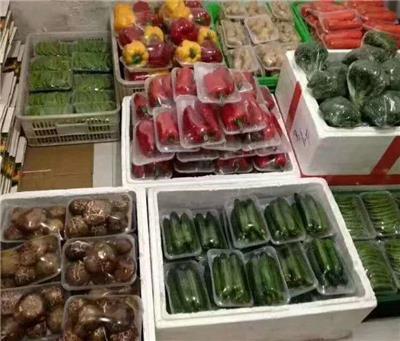 新鮮蔬菜零售與配送服務全解析 價格、批發與便捷之道